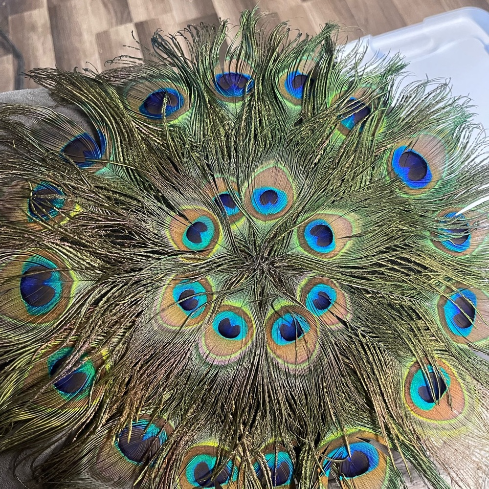 Peacock Table Mat